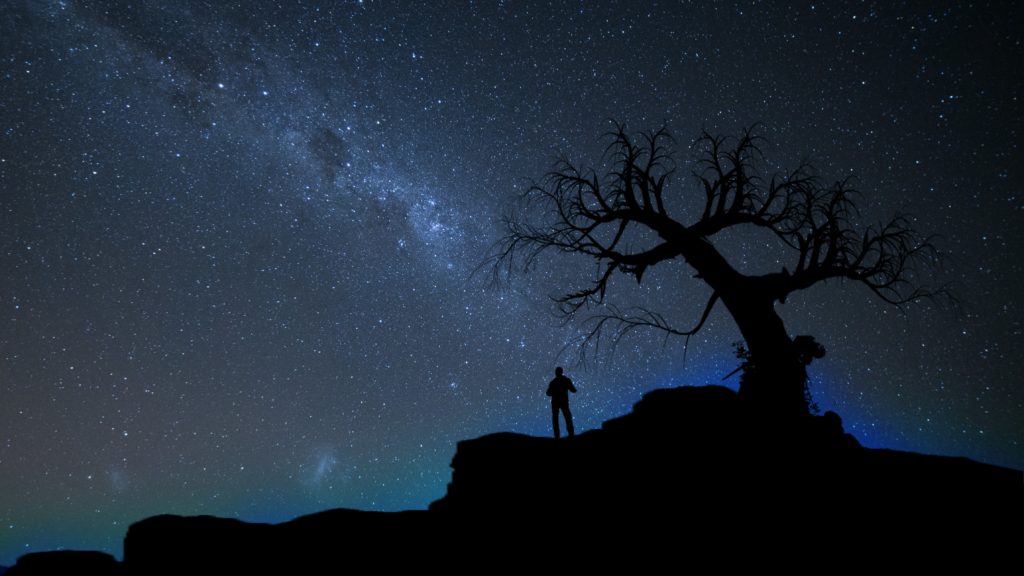 Man looks at the night sky full of stars. Do you know the story of the Star of Bethlehem?