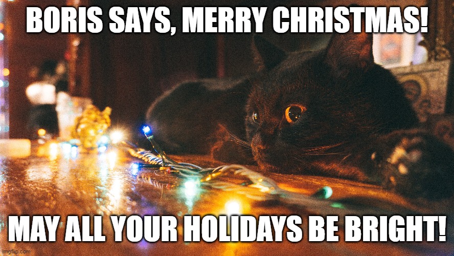 Boris Kitty stories - Stories with Biblical morals - Black kitten with Christmas Lights