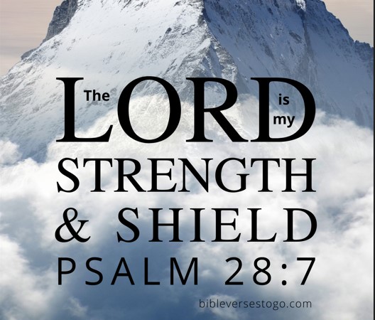 Lord is my strength & shield Psalm 28:7
