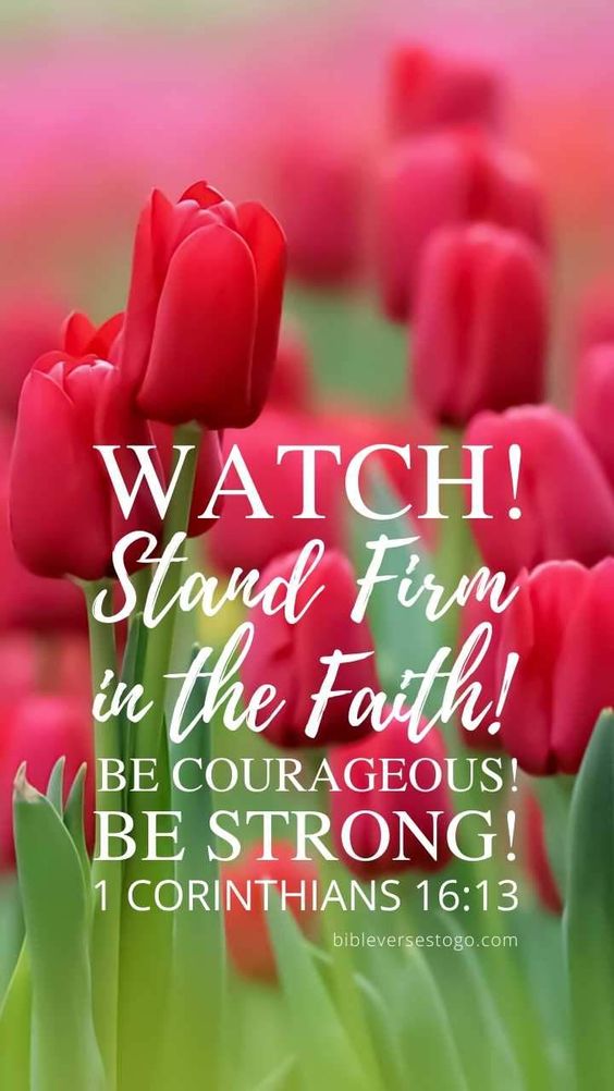 Can a woman be a pastor? Find the Truth in the Bible, not in religion. Red Tulips 1 Corinthians 16:13 Stand Firm In The Faith.