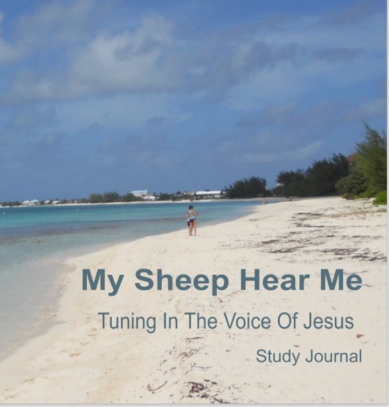 Jesus, is the Good Shepherd. His sheep hear his voice. Order this study journal and learn to hear the Shepherd's voice.
