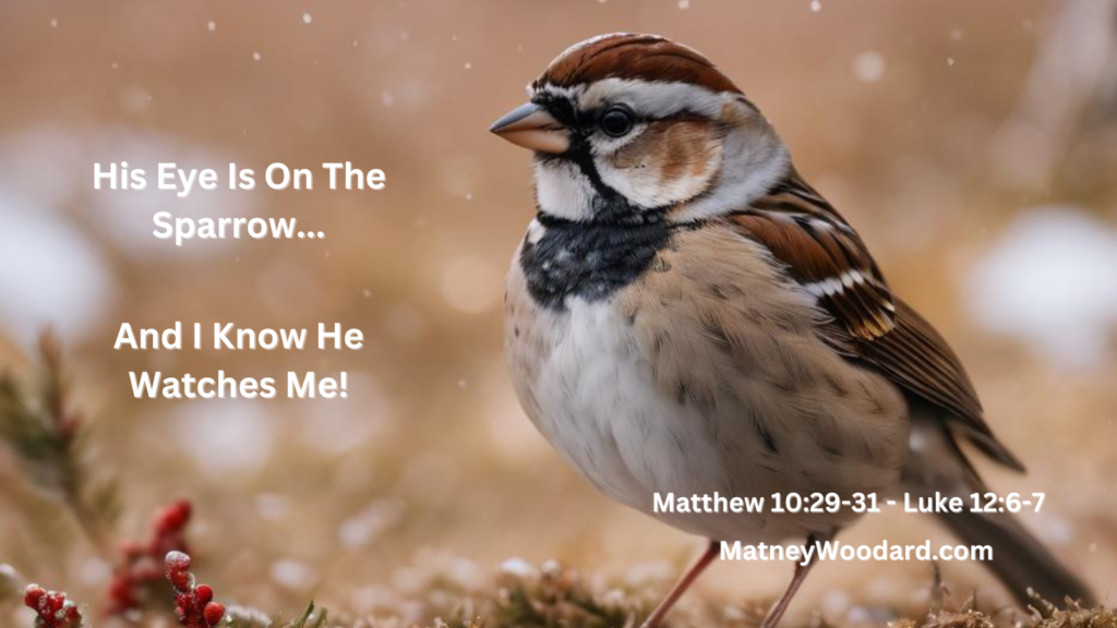 His Eye Is On The Sparrow is a gospel hymn written in 1905 by lyricist Civilla D. Martin and composer Charles H. Gabriel. It is partly based on Psalm 32:8,  Matthew 6:26, 10:29-31 and Luke 12:6-7