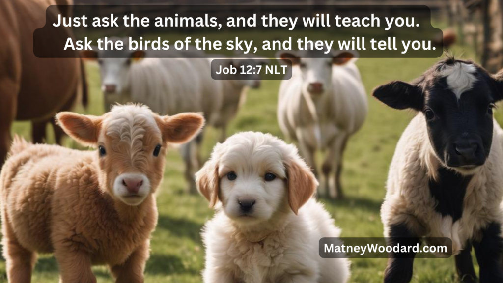 Ask the animals and they will teach you - Job 12:7. Animal Parables teaches Biblical principles through the eyes of animals.