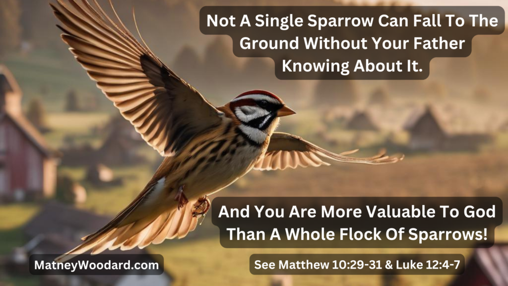 God even knows what happens to the smallest of creation, like when a swallow falls. Yet you are far more valuable than a whole flock of sparrows. See Matthew 10:29-31, Luke 12:4-7.
